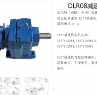 DLR08-1/89.36-DMP160L-4-M1-R-15KW減速電機型號解析