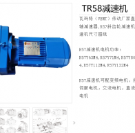 TR58-YPEJ0.55-4-120.63-M1-0°減速電機(jī)型號(hào)解析