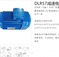 減速電機DLR57-29-Y290S-4-M6-R-1.1KW型號解析