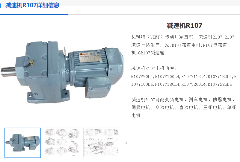 R107DRN100L4BE5HRV減速電機(jī).png