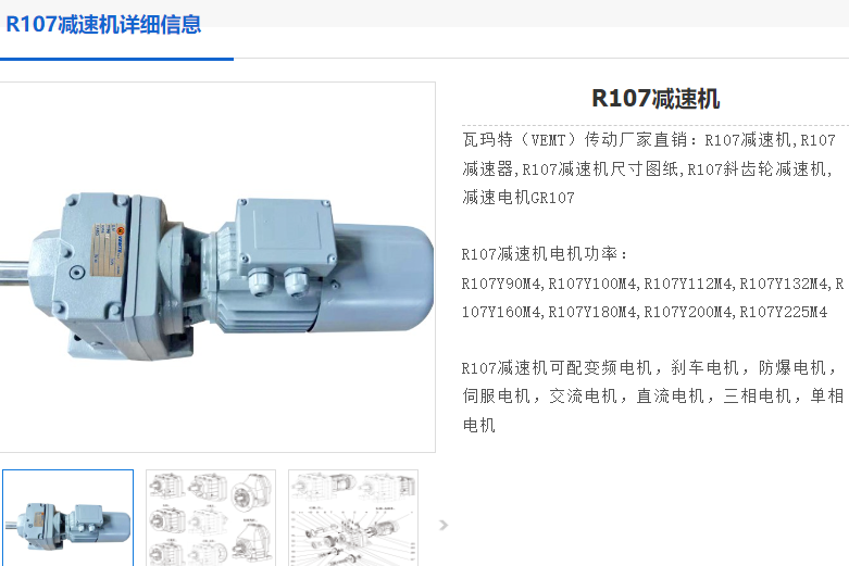 R107DRN100L4/BE5/HR/V減速電機.png