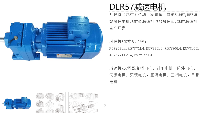 減速電機(jī)DLR57-29-Y290S-4-M6-R-1.1KW型號.png